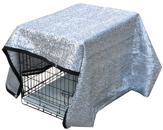 Cool runners dog hot sale crates