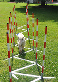 Cool Runners Training Weave Poles Metal Base