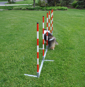 Cool Runners Training Weave Poles Metal Base